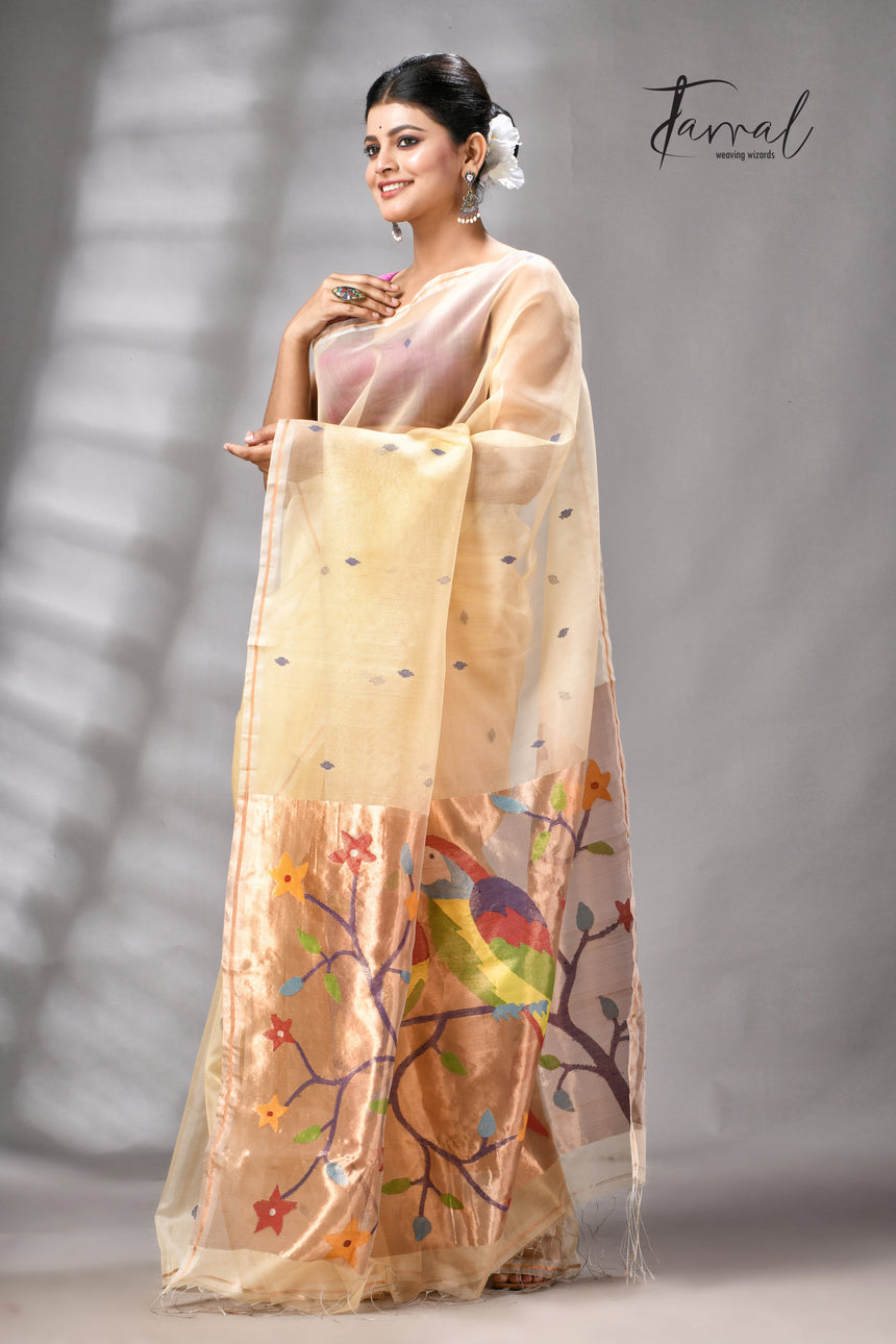 Beige with golden Zari pathani handwoven jamdani saree