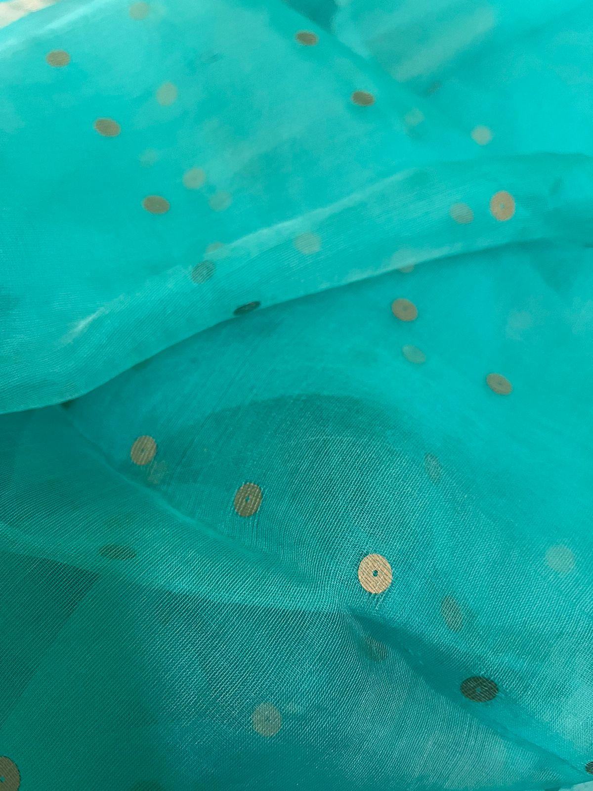 Firoza With Deer pallu sequins paithani Handwoven jamdani saree - Tamal Boutique