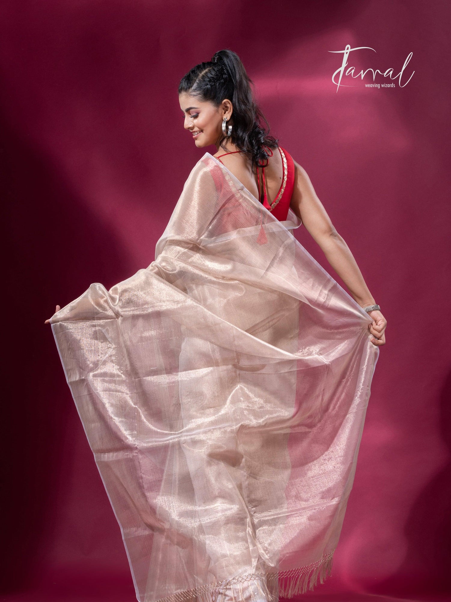 Handloom Tissue Cream Organza Silk Saree6
