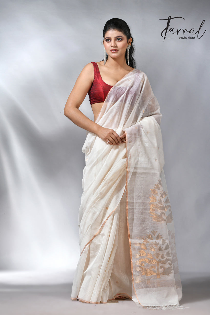 Offwhite with zari border silk cotton handwoven jamdani saree