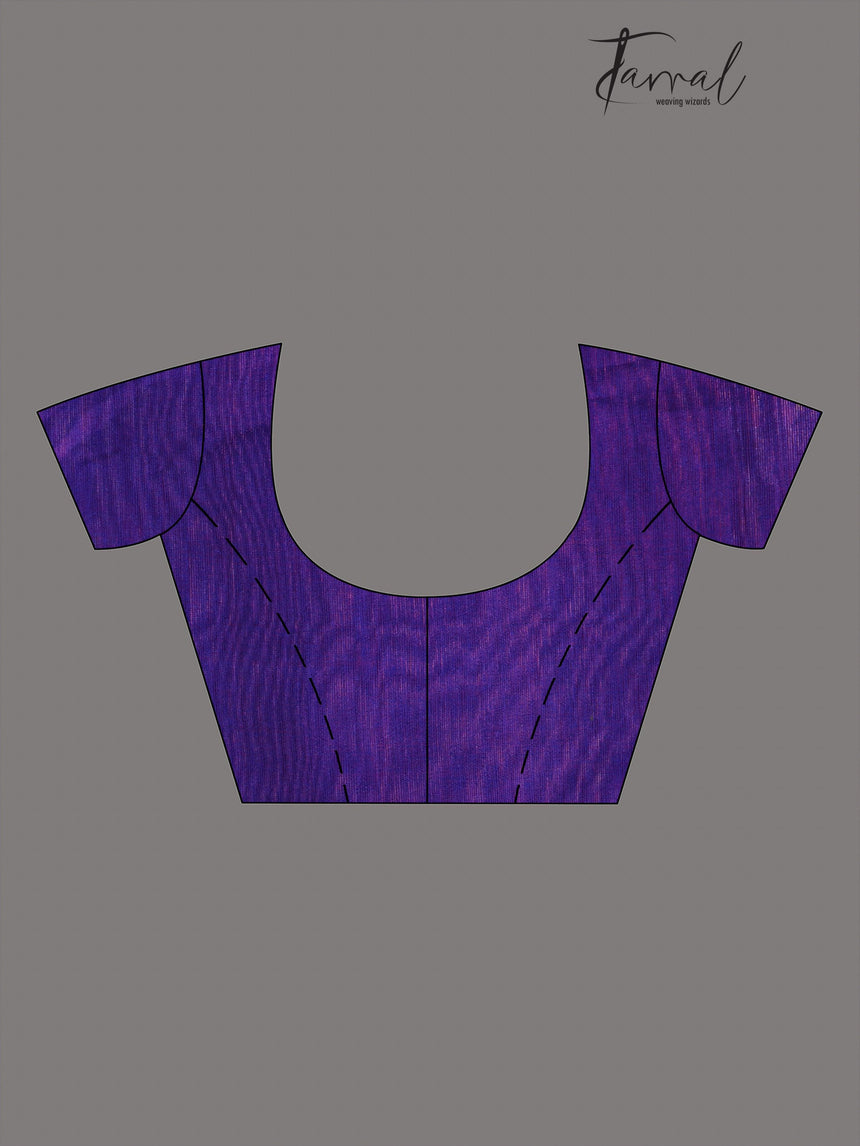 Dual tone blue Parrot Organza silk paithani sequins saree - Tamal Boutique