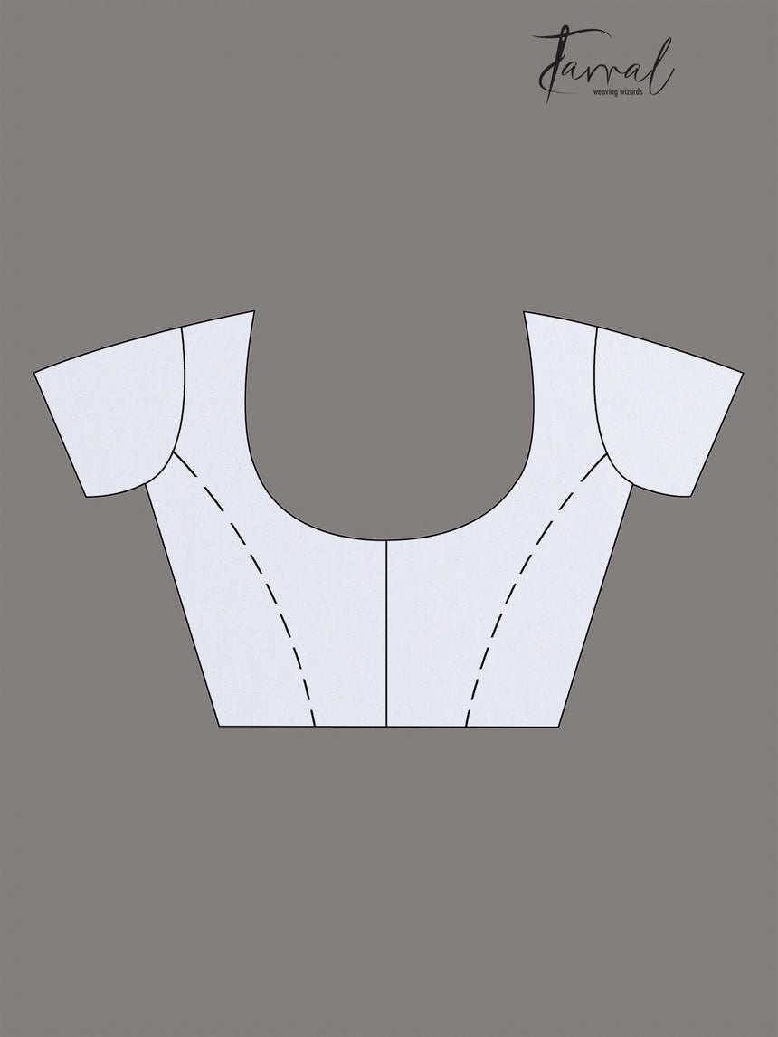 White stone chiffon zardosi work saree - Tamal Boutique