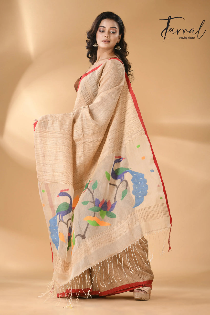 Muga with red border peacock paithani pallu Tusser ghicha silk handwoven jamdani saree - Tamal Boutique