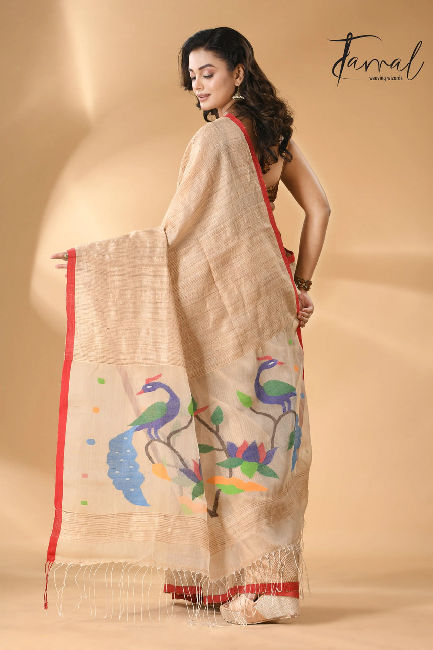 Muga with red border peacock paithani pallu Tusser ghicha silk handwoven jamdani saree - Tamal Boutique