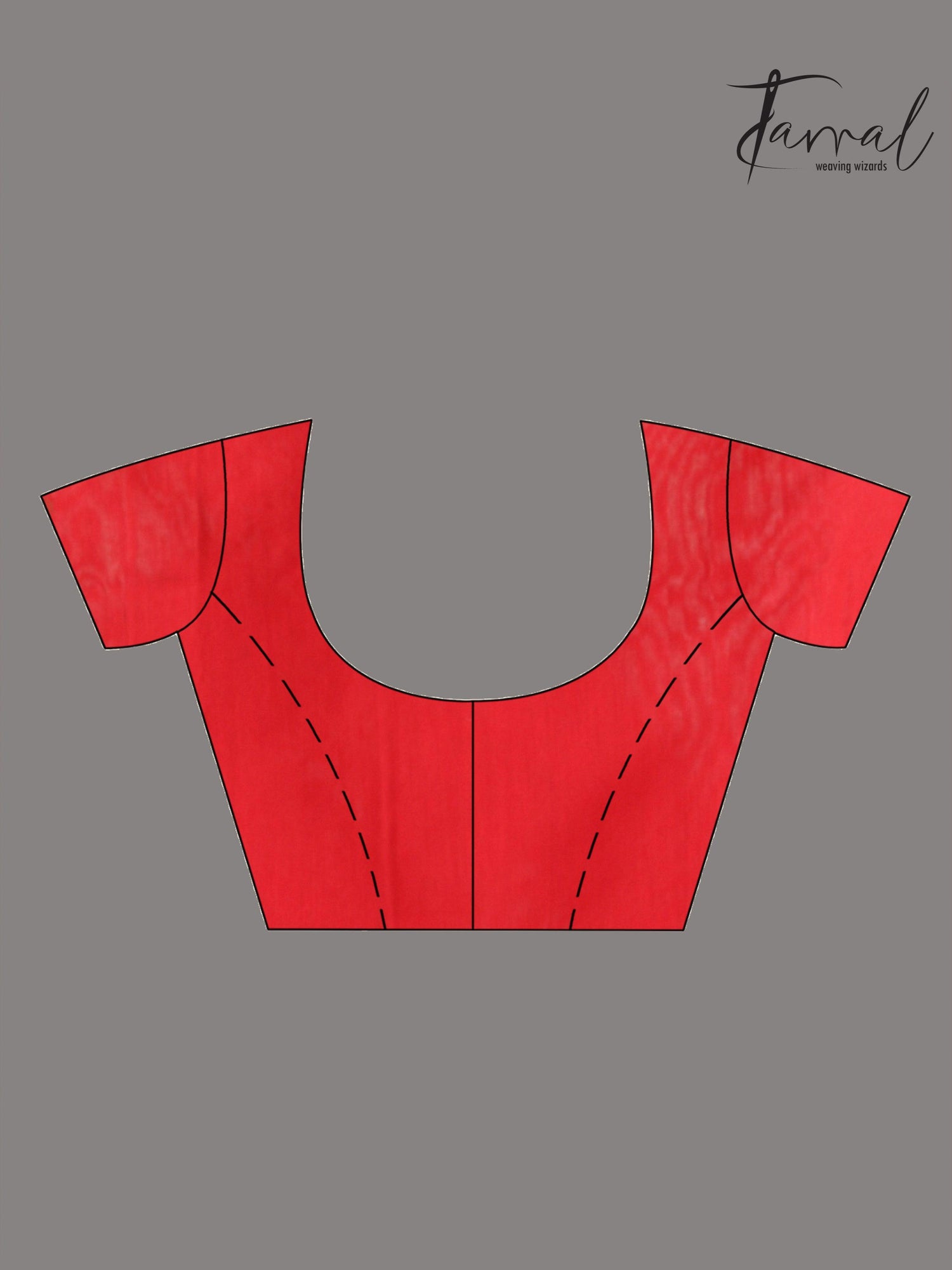 Red Parrot Organza silk paithani sequins saree - Tamal Boutique