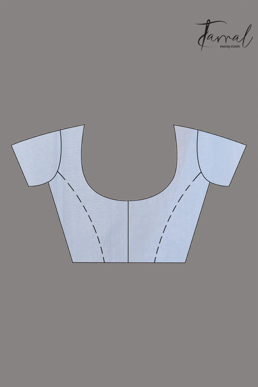 Sky blue organza embroidered handloom saree blouse