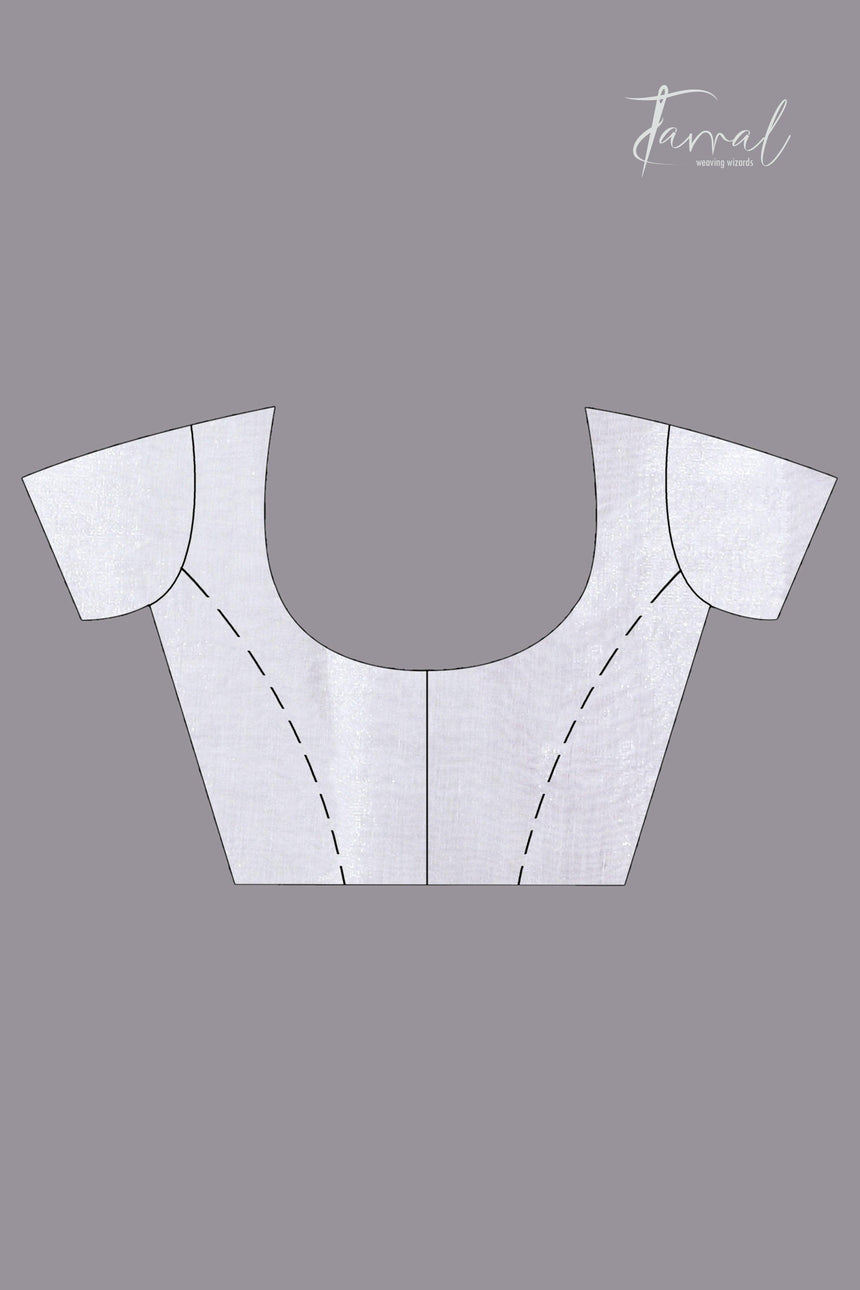 White organza silk tissue handloom saree - Tamal Boutique