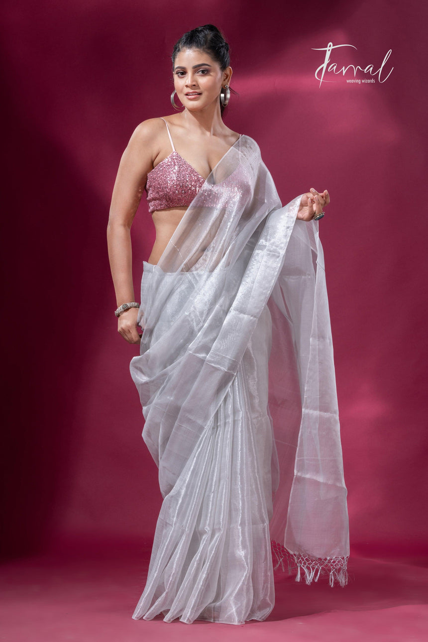 White organza silk tissue handloom saree - Tamal Boutique