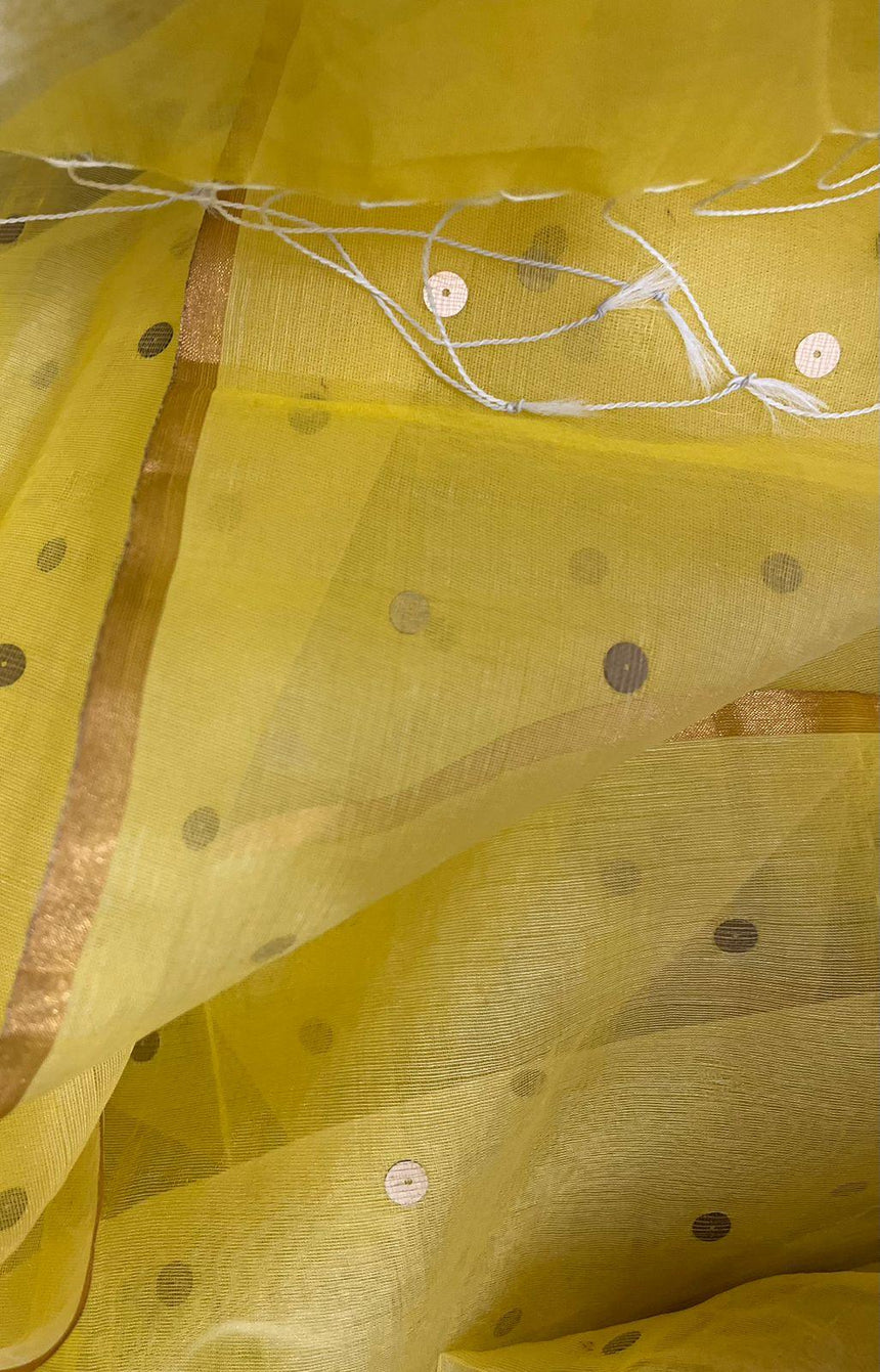 Yellow with zari border paithani sequins handwoven organza silk saree - Tamal Boutique
