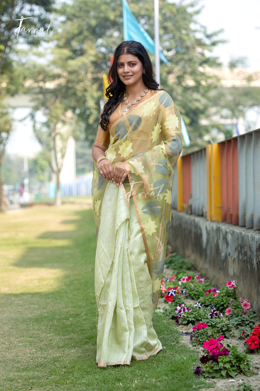 Light Sage Green Half & Half Matka Muslin Handwoven Jamdani Saree