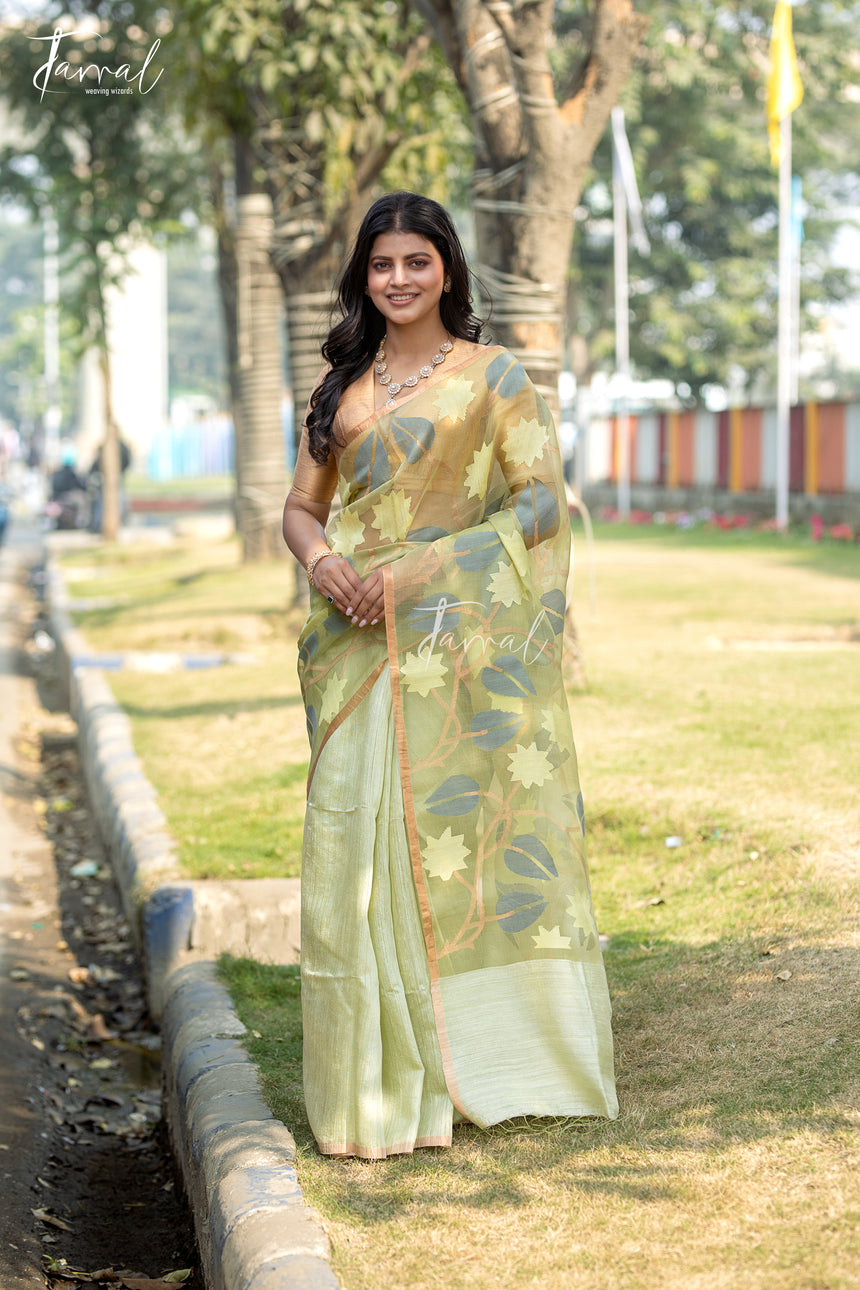 Light Sage Green Half & Half Matka Muslin Handwoven Jamdani Saree