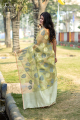 Light Sage Green Half & Half Matka Muslin Handwoven Jamdani Saree