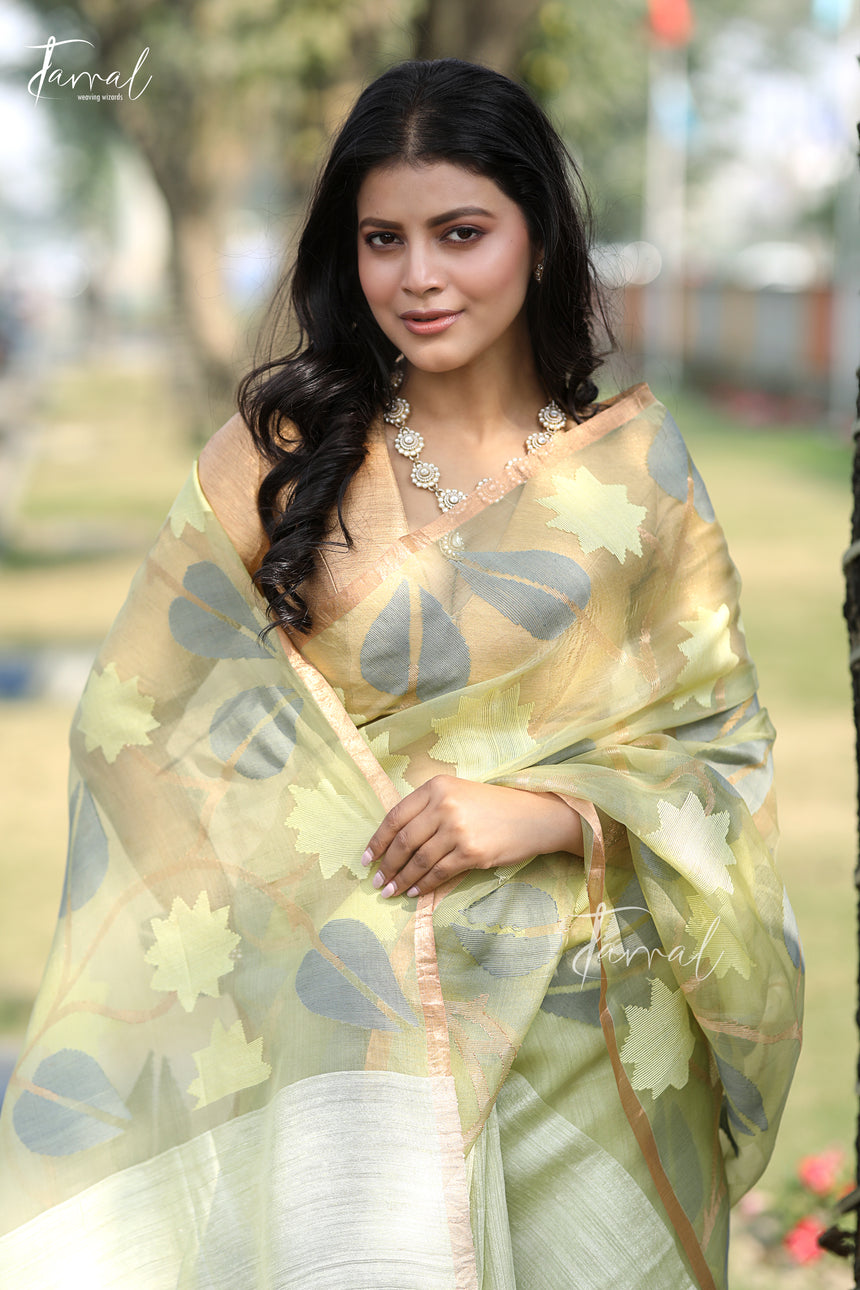 Light Sage Green Half & Half Matka Muslin Handwoven Jamdani Saree