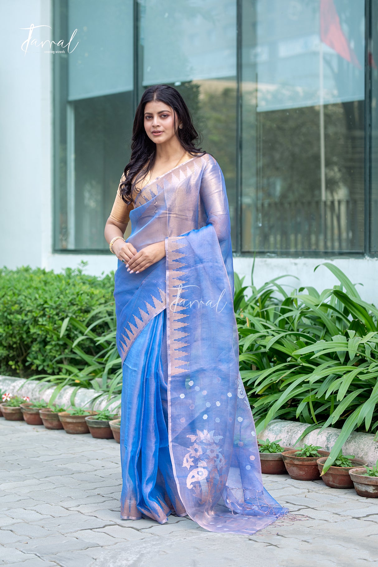 Soft Golden Sky Blue Pure Tissue Muslin Silk Handwoven Jamdani Saree