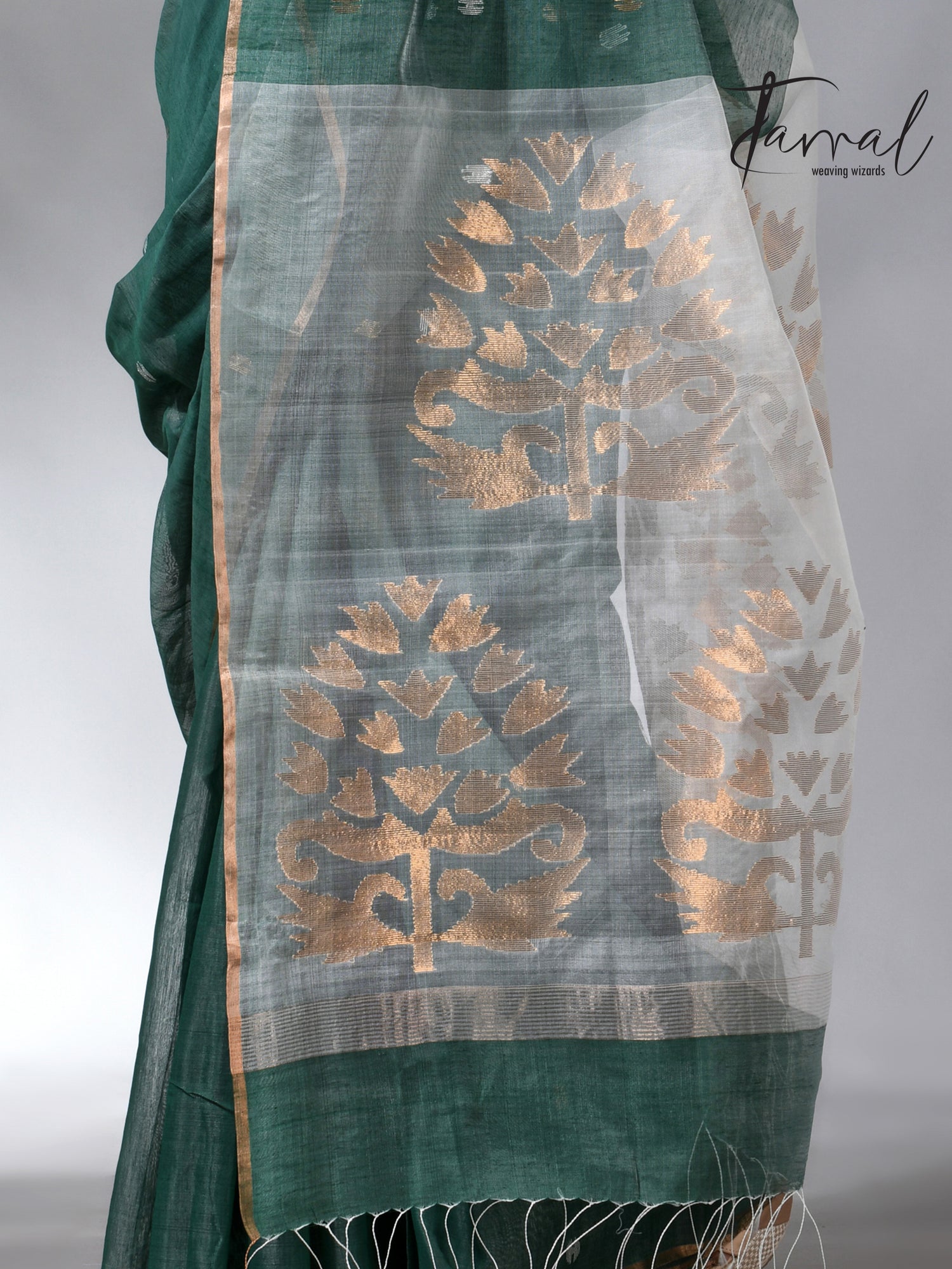 Bamboo green zari border silk cotton handwoven jamdani saree