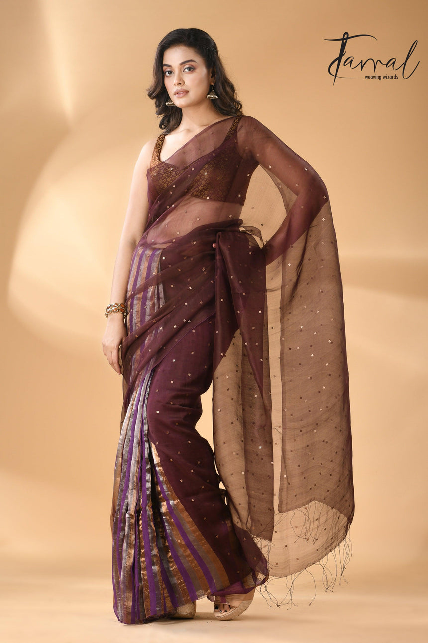 Brown Muslin & Striped Noil Silk Handloom Saree in Sequins full