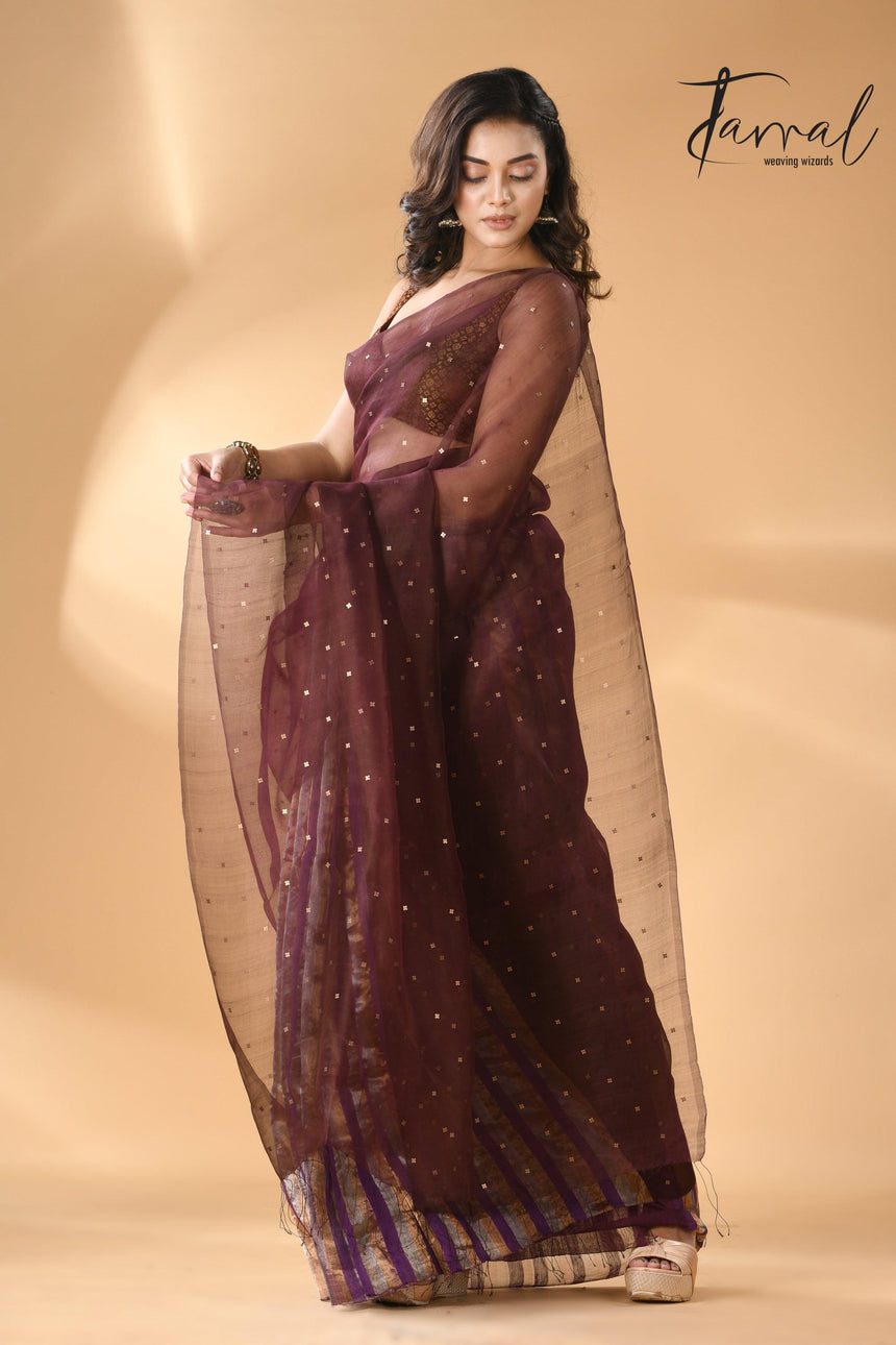 Brown Muslin & Striped Noil Silk Handloom Saree in Sequins right