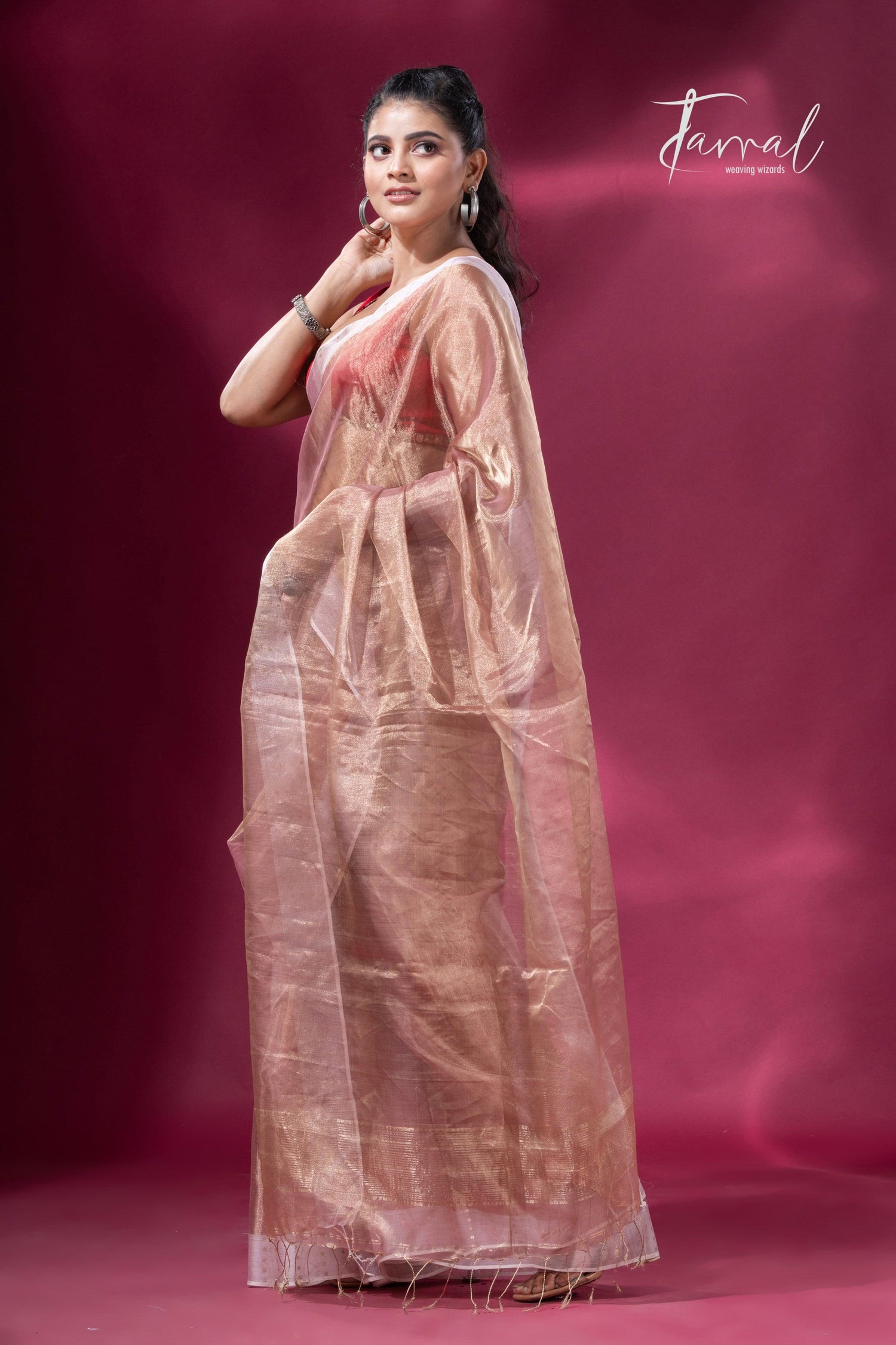 Copper gold white sequins border pure tissue silk saree full4