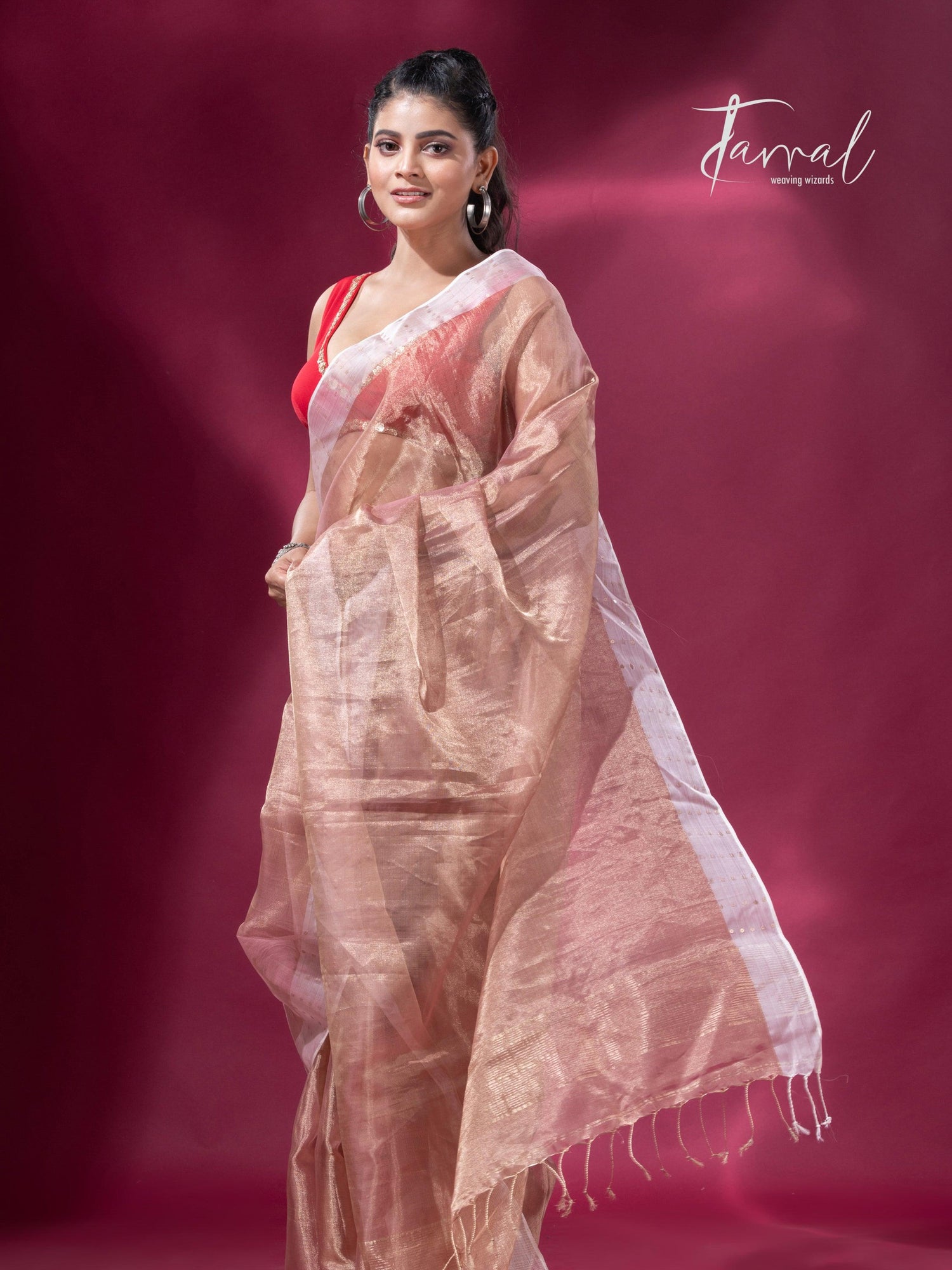 Copper gold white sequins border pure tissue silk sareefull4