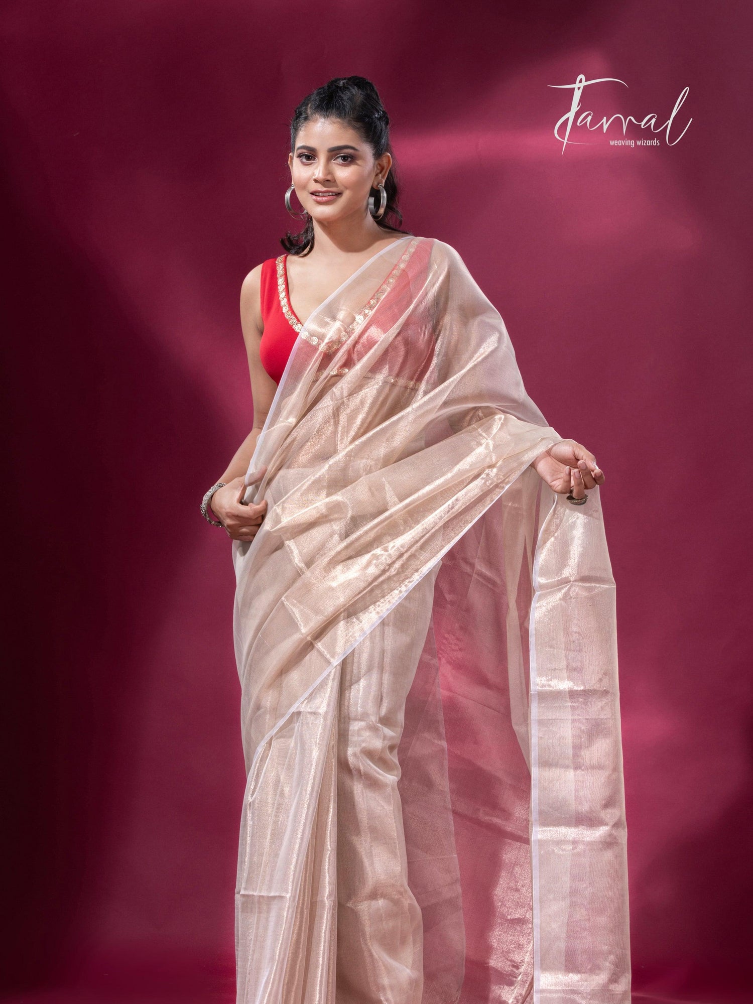 Handloom Tissue Cream Organza Silk Saree1