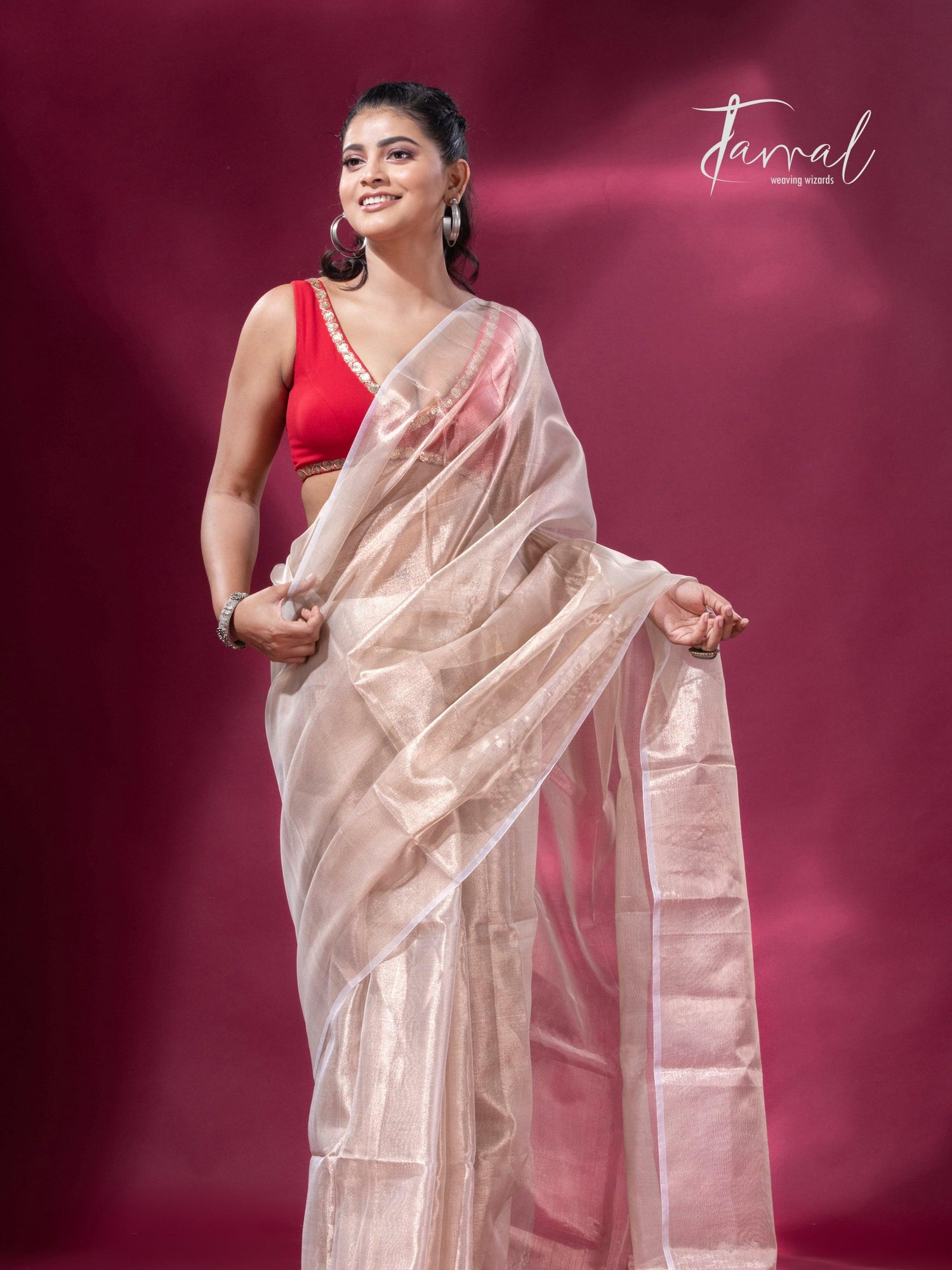 Handloom Tissue Cream Organza Silk Saree3