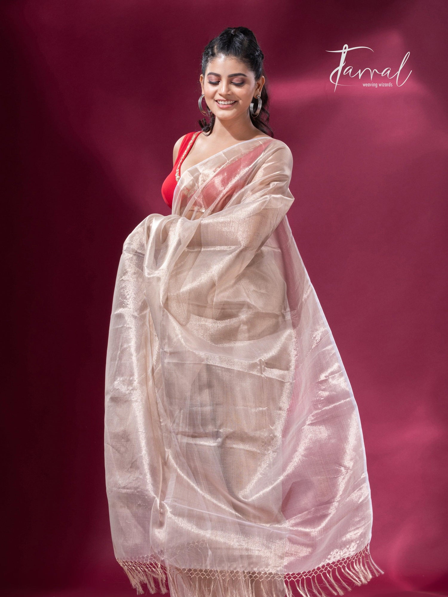 Handloom Tissue Cream Organza Silk Saree5