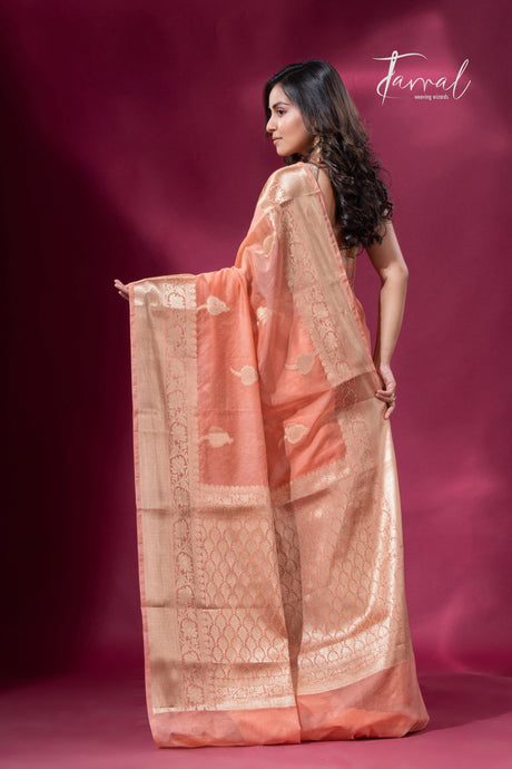 Peach and with golden zari work organza Banarasi silk saree back