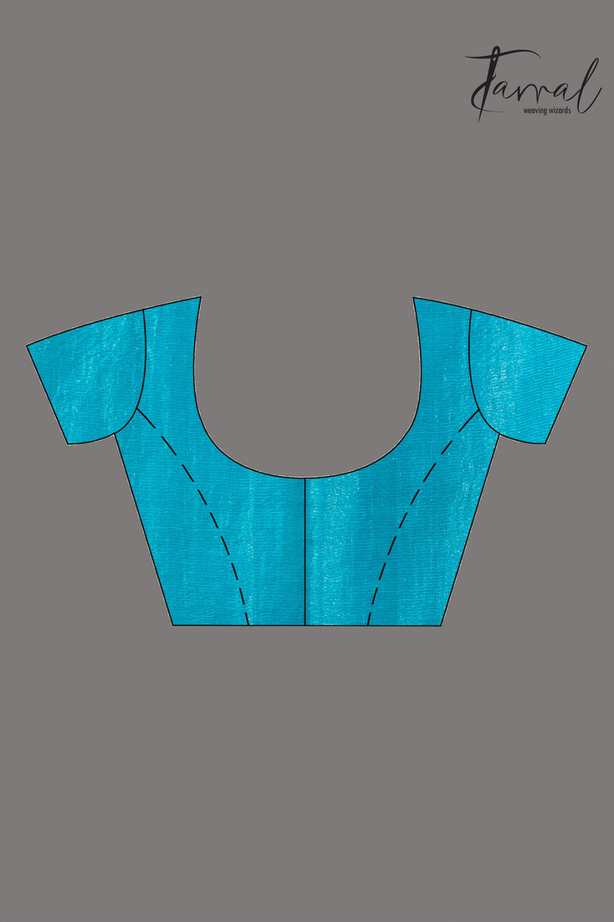 Peacock blue sequins border noil tusser zari silk handloom saree - Tamal Boutique