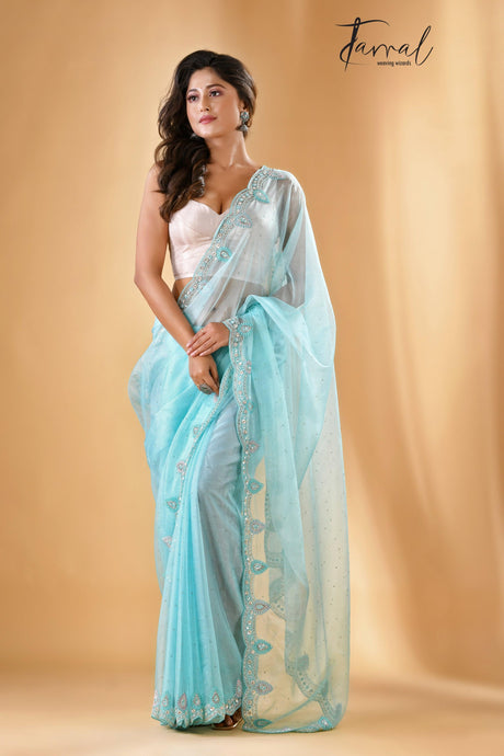 Sky blue illusion zardosi silk saree - Tamal Boutique