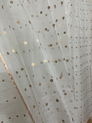 White with zari border paithani sequins handwoven organza silk saree - Tamal Boutique